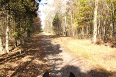 800dscf42111