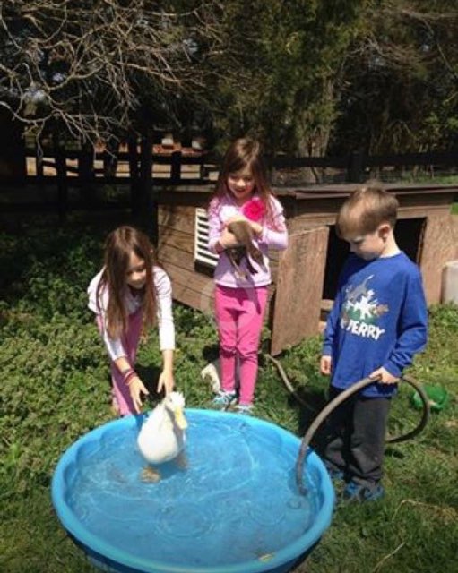 Hordge Camp - Hordge Camp Youth Wellness Spring Break Camp 2023 Schedule is  now Available. Register now limited spots available. www.hordgecamp.org  #hordgecamp #physicalfitness #farming #healthylifestyle #ranching  #communitywork #hiking #lifeskills