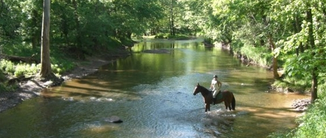 riding-lesson